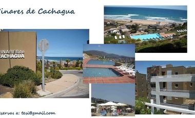 PINARES DE CACHAGUA, ZAPALLAR