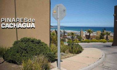 PINARES DE CACHAGUA, ZAPALLAR