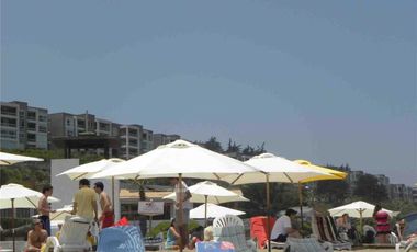 PINARES DE CACHAGUA, ZAPALLAR