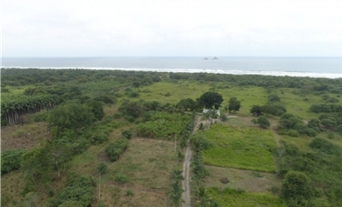 Vendo macrolote de 20 ha en Manabí sector de Ayampe Ecuador