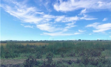 Macrolote de 75,000 m² en Venta: Sector Barranca, Nuevo Samborondón