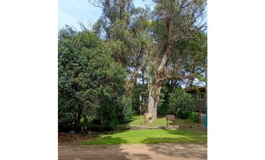 Lote Halcon 1400