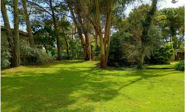 Lote Halcon 1400