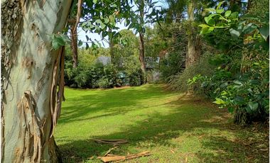 Lote Halcon 1400