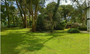 Lote Halcon 1400