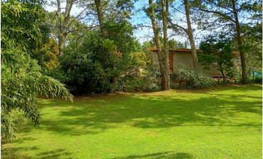 Lote Halcon 1400
