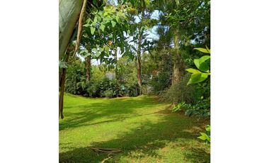 Lote Halcon 1400
