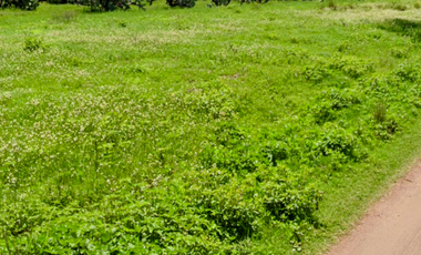VENTA TERRENO CERCANO AIFA AEROPUERTO  FELIPE ANGELES