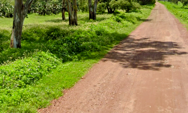 VENTA TERRENO CERCANO AIFA AEROPUERTO  FELIPE ANGELES
