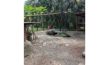 VENTA/ RENTA CASA COND.HACIENDA  LA PRIMAVERA VILLAVICENCIO-META