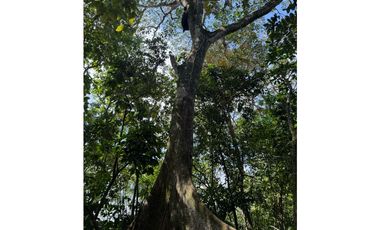 VENTA CASA CONDOMINIO HACIENDA PRIMAVERA VILLAVICENCIO -META