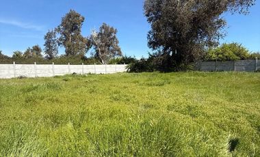 Sitio En La Campiña Machali