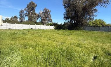 Sitio En La Campiña Machali