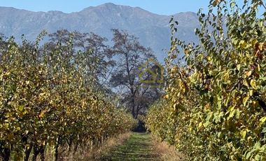 Parcelas en Venta en Rancagua