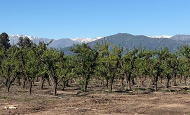 Parcelas en Venta en Rancagua