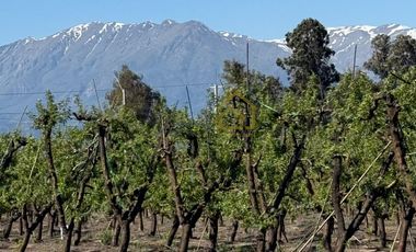 Parcelas en Venta en Rancagua