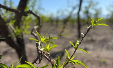 Parcelas en Venta en Rancagua