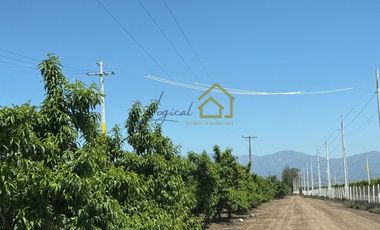 Parcelas en Venta en Rancagua