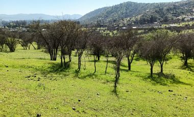 Parcelas En Venta Lago Rapel