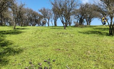 Parcelas En Venta Lago Rapel