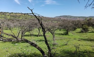 Parcelas En Venta Lago Rapel