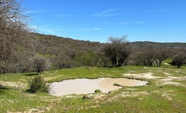 Parcelas En Venta Lago Rapel