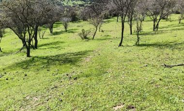 Parcelas En Venta Lago Rapel