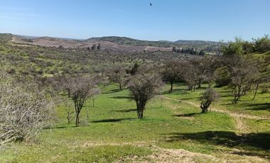 Parcelas En Venta Lago Rapel