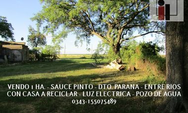 VENDO CHACRA ZONA PARANA, ENTRE RIOS