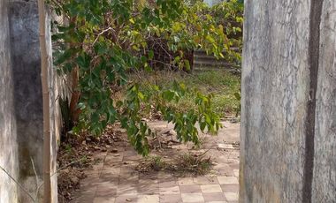 Casa PH 3 amb. a reciclar120