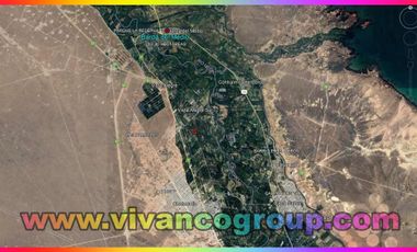 Se vende Chacra 5 has. en blanco en Centenario, Provincia de Neuquén.