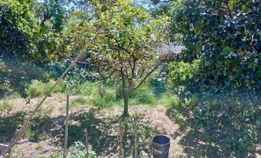 Hermosa casaquinta en venta - Marcos paz - Pcia. Bs.As.