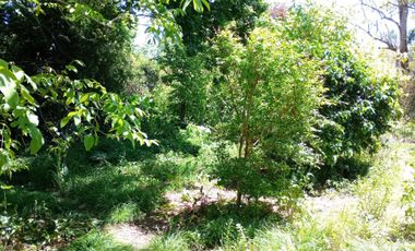 Hermosa casaquinta en venta - Marcos paz - Pcia. Bs.As.