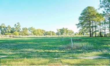 CONDOMINIO CAMPOS DE ABRIL LOTES DESDE 800 M2