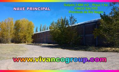 Se vende Galpón 3300 m2. - Zona chacras - Cinco Saltos - Provincia deRío Negro