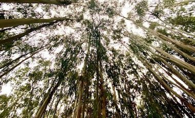 Arriendo Hermoso Departamento en Lugar Privilegiado de Algarrobo