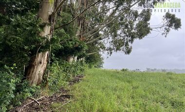 Agrícola en Venta en 7 hás en Olmopulli, a 13 kms de la Ruta 5 sur y 30 minutos desde Puerto Montt