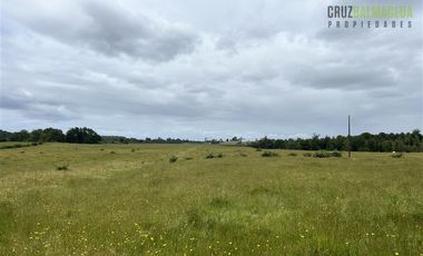 Agrícola en Venta en 7 hás en Olmopulli, a 13 kms de la Ruta 5 sur y 30 minutos desde Puerto Montt