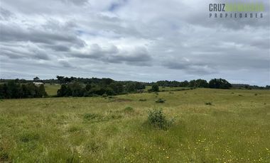 Agrícola en Venta en 7 hás en Olmopulli, a 13 kms de la Ruta 5 sur y 30 minutos desde Puerto Montt