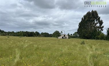 Agrícola en Venta en 7 hás en Olmopulli, a 13 kms de la Ruta 5 sur y 30 minutos desde Puerto Montt