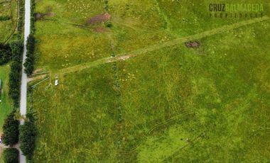 Agrícola en Venta en 7 hás en Olmopulli, a 13 kms de la Ruta 5 sur y 30 minutos desde Puerto Montt
