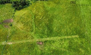 Agrícola en Venta en 7 hás en Olmopulli, a 13 kms de la Ruta 5 sur y 30 minutos desde Puerto Montt