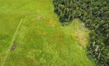 Agrícola en Venta en 7 hás en Olmopulli, a 13 kms de la Ruta 5 sur y 30 minutos desde Puerto Montt