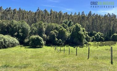 Agrícola en Venta en Sector Riachuelo, a pocos kilometros de Rio Negro