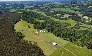 Agrícola en Venta en Sector Riachuelo, a pocos kilometros de Rio Negro
