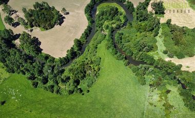 Agrícola en Venta en Sector Riachuelo, a pocos kilometros de Rio Negro