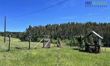 Agrícola en Venta en Sector Riachuelo, a pocos kilometros de Rio Negro