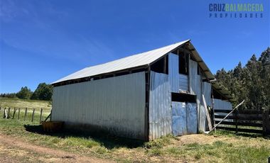 Agrícola en Venta en Sector Riachuelo, a pocos kilometros de Rio Negro