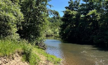 Agrícola en Venta en Sector Riachuelo, a pocos kilometros de Rio Negro