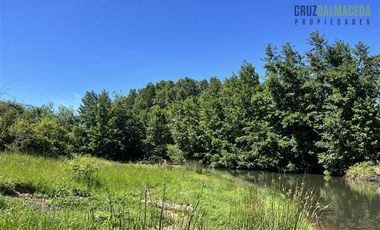 Agrícola en Venta en Sector Riachuelo, a pocos kilometros de Rio Negro